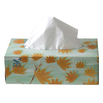 Facial_Tissue_Box.jpg