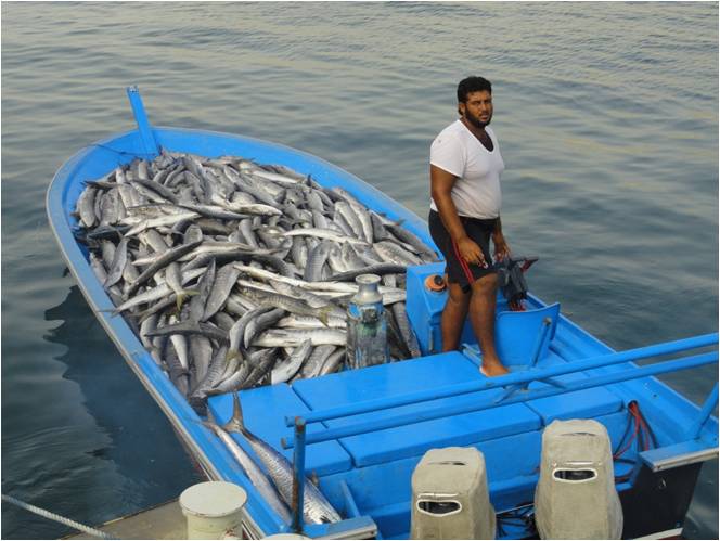 Fishing-boat-in-Khasab-Oman.jpg