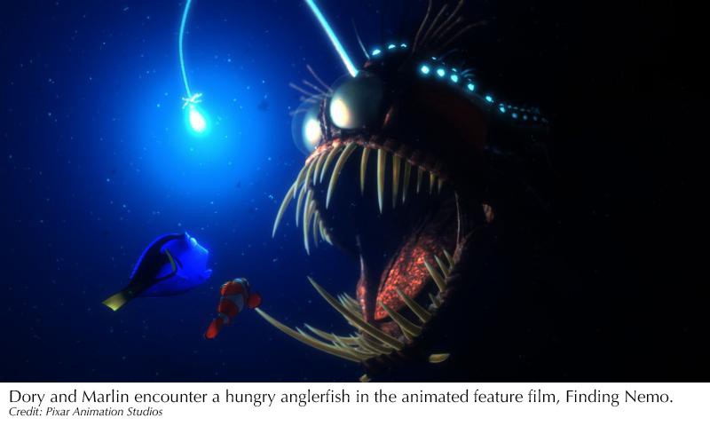 anglerfish-finding-nemo2.jpg