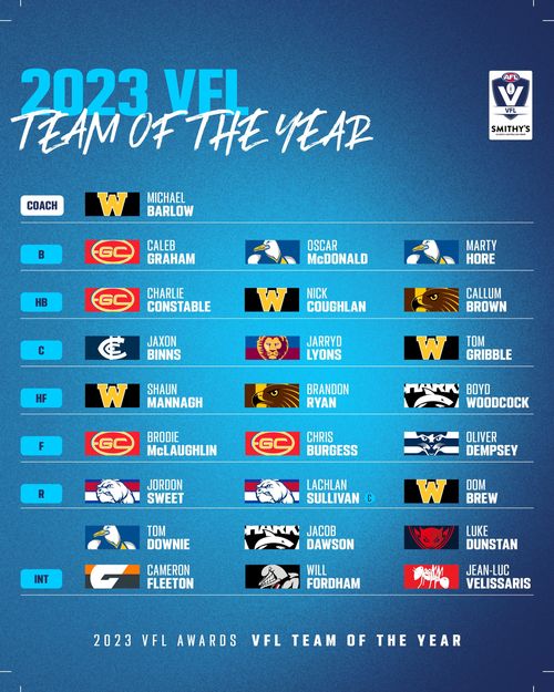 2023-VFL-Team-of-the-Year.jpg
