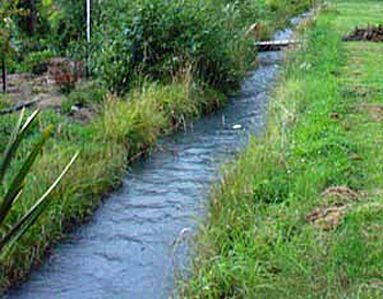 water-stream-garden.jpg