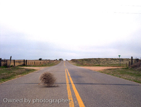 tumbleweed_on_highway162.jpg