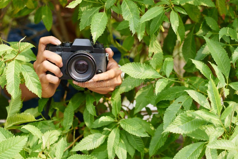 photographer-bushes-hiding-taking-photos-70221895.jpg