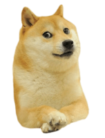 doge_meme_PNG7.png