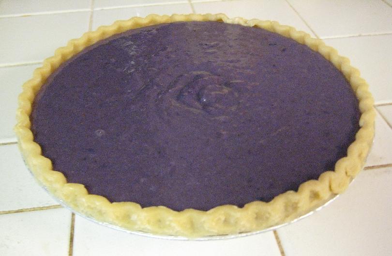 810_Purple_Pumpkin_Pie.JPG