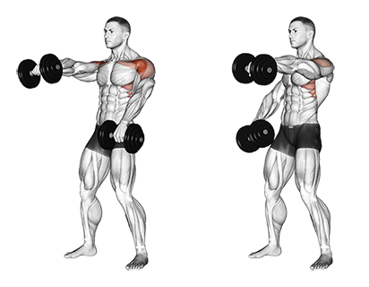 Standing+Alternate+Dumbbell+Front+Raises