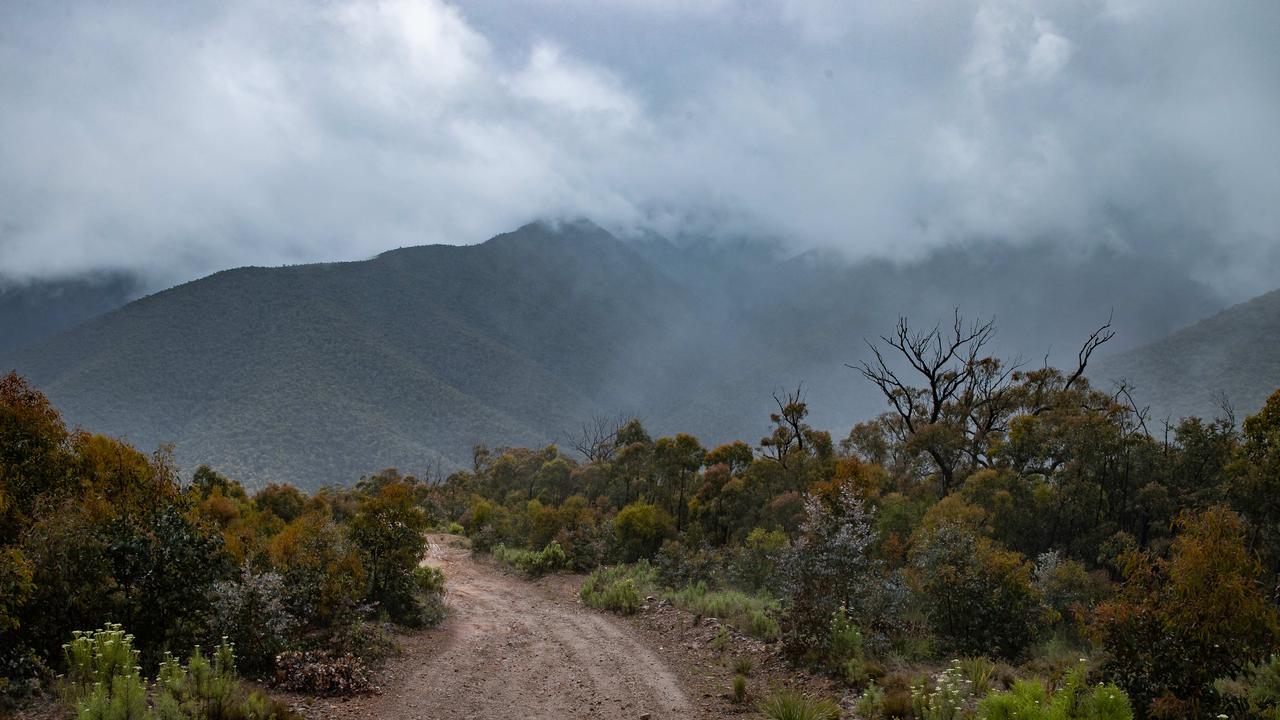 A gruelling search is underway in the remote Wonnangatta Valley. Picture: Jason Edwards