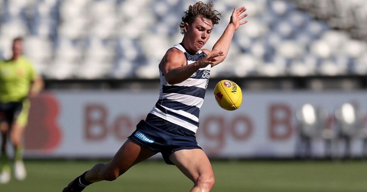 www.geelongcats.com.au