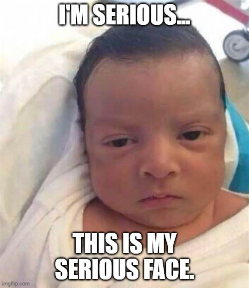 I'm serious |  I'M SERIOUS... THIS IS MY SERIOUS FACE. | image tagged in funny | made w/ Imgflip meme maker