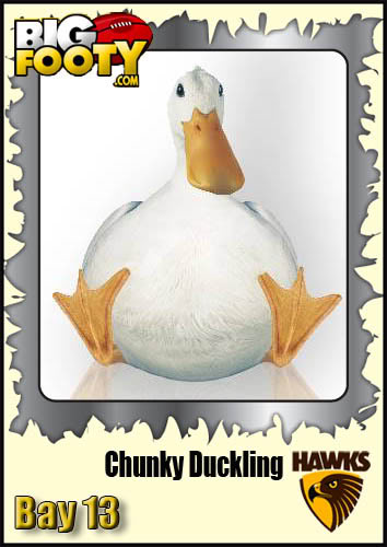 ChunkyDuckling.jpg