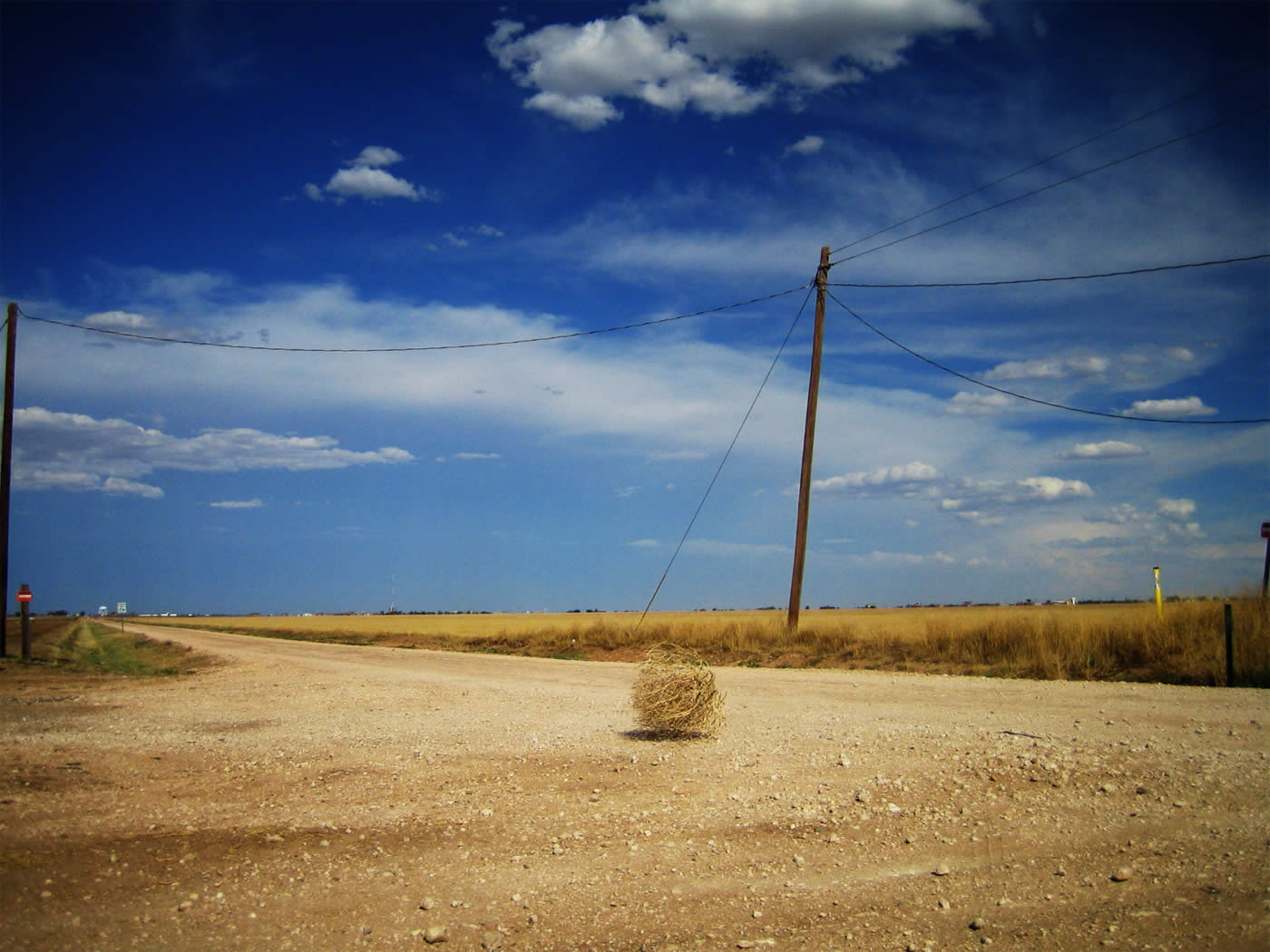 tumbleweed.jpg