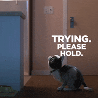 Fail So Close GIF by Hill's Pet Nutrition