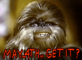 May The Fourth Be With You GIF