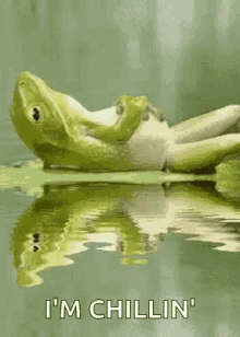 chillin-frogs.gif