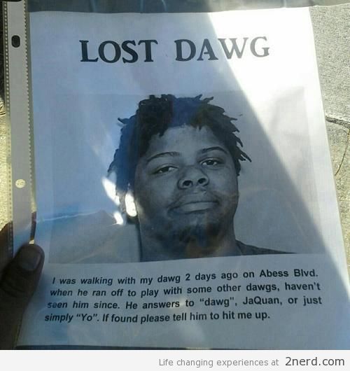 Lost-Dawg.jpg