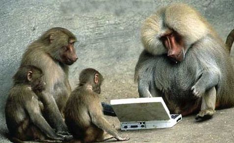 monkey-manager-laptop-funny.jpg