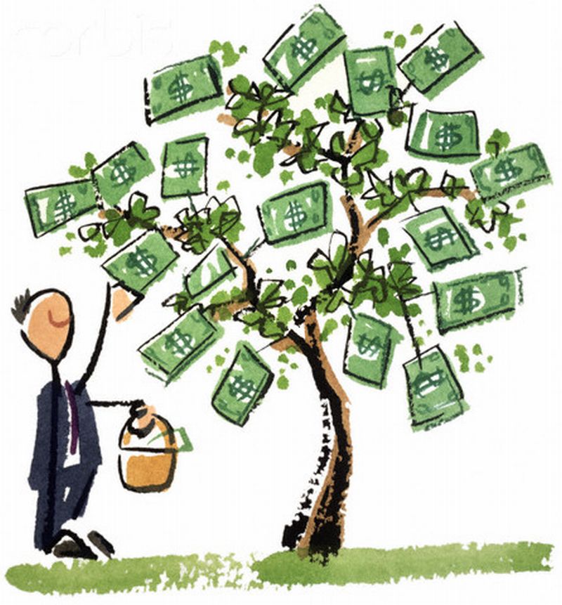 money-tree.jpg