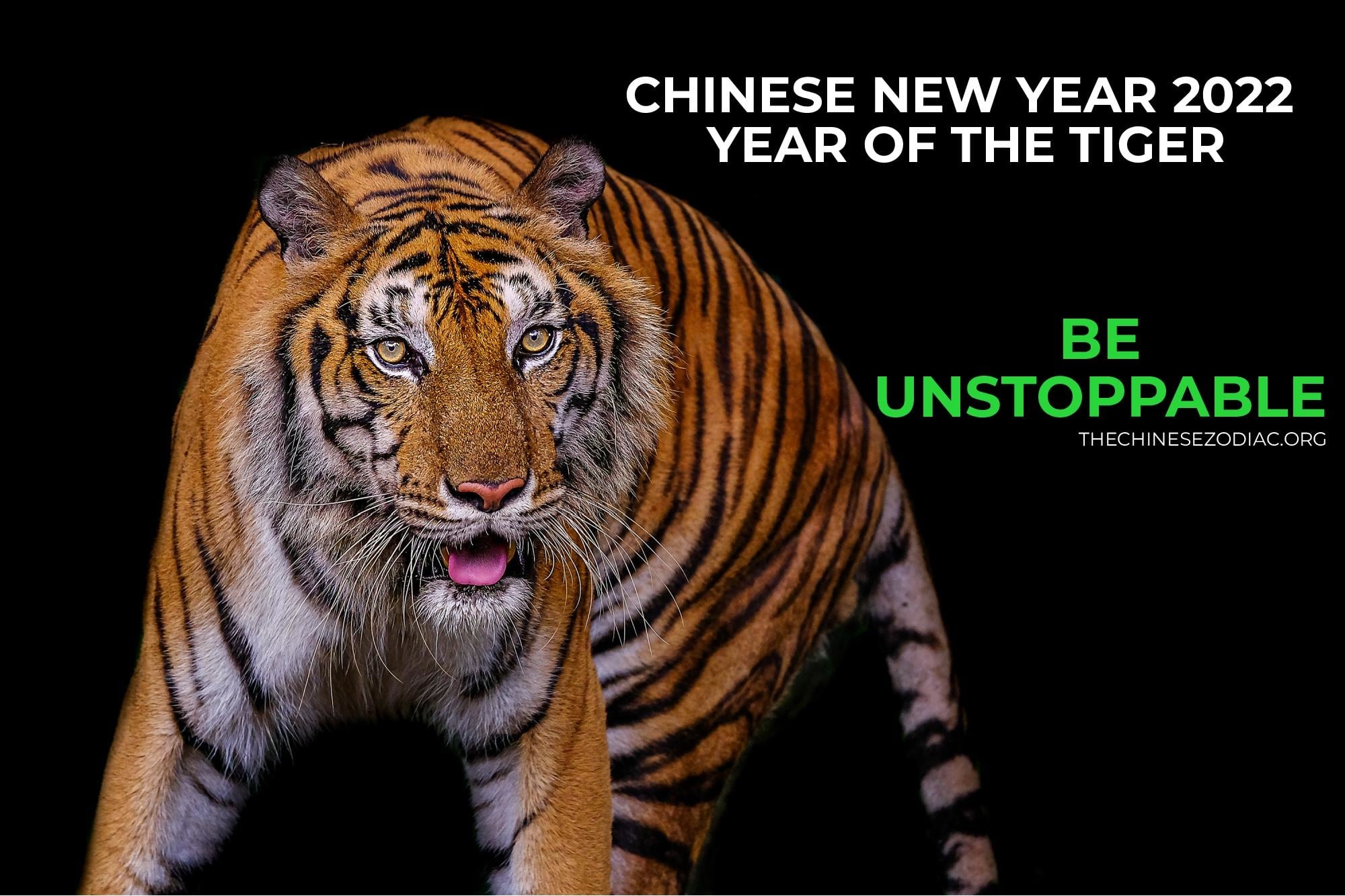 chinesenewyearofthetiger.jpg