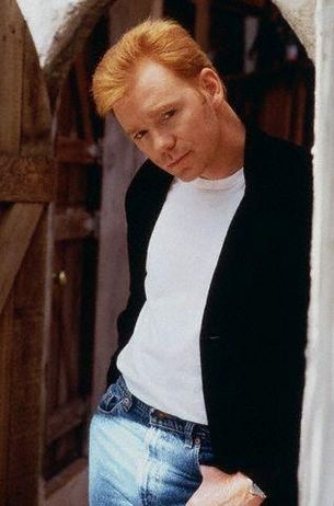 138df4560134884d3eb93066413a3a7c--ginger-boy-david-caruso.jpg