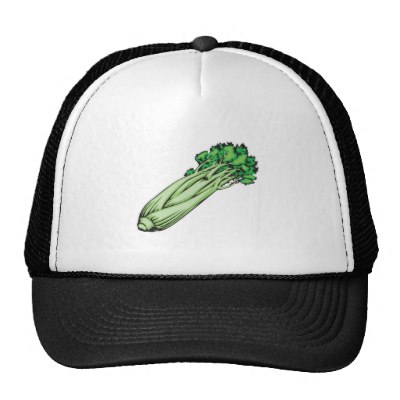 celery_hat-p148734876384033967qz14_400.jpg