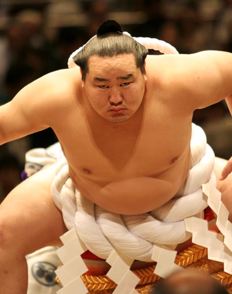 3650183-6434468998-sumo-.jpg