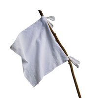 white-flag.jpg~c200