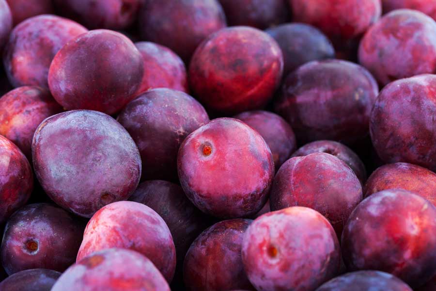 Jesmond-Fruit-Barn-Plums.jpg