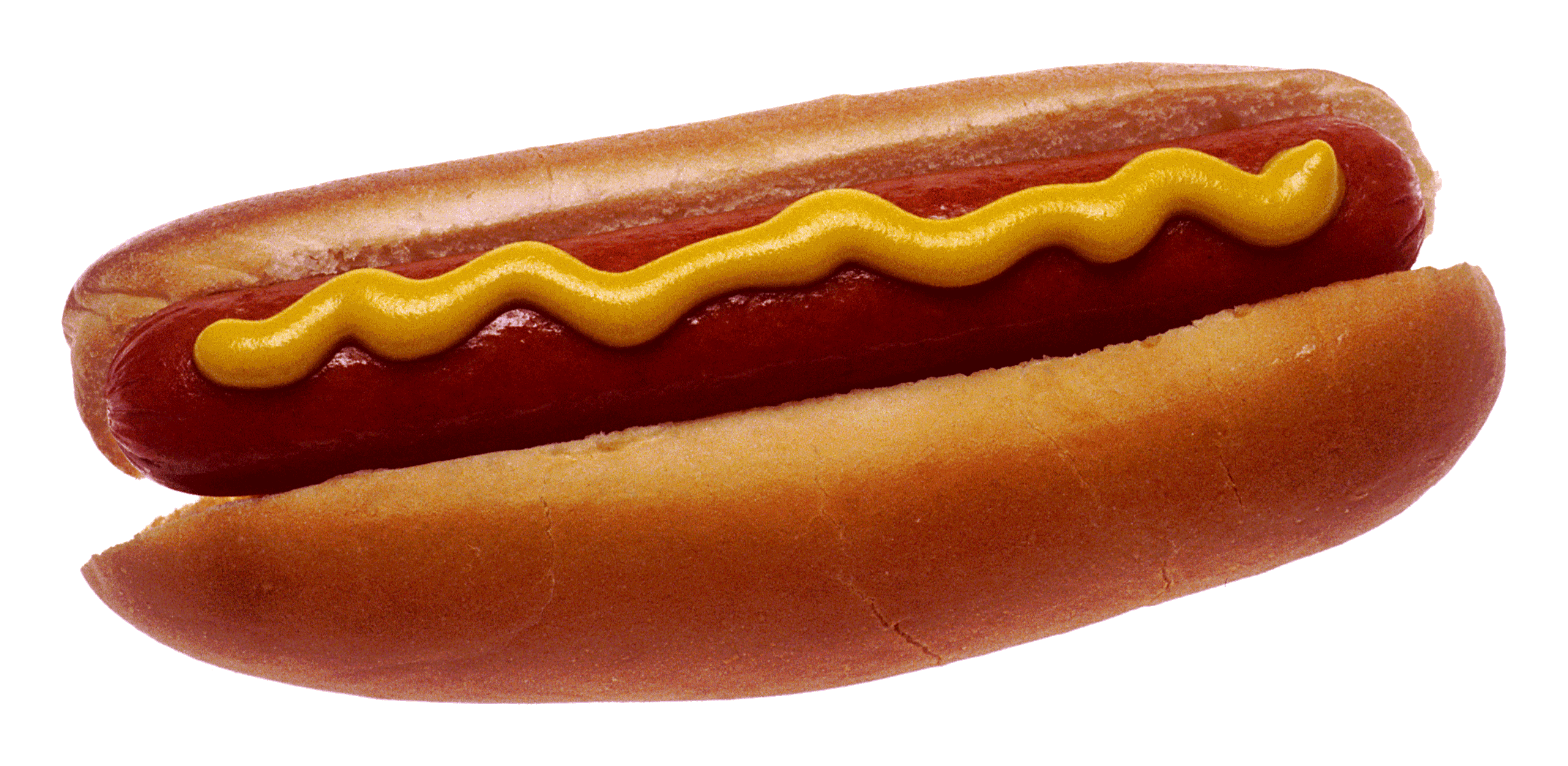 Hot_dog_with_mustard.png