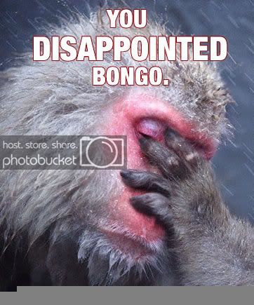 disappointed-bongo.jpg