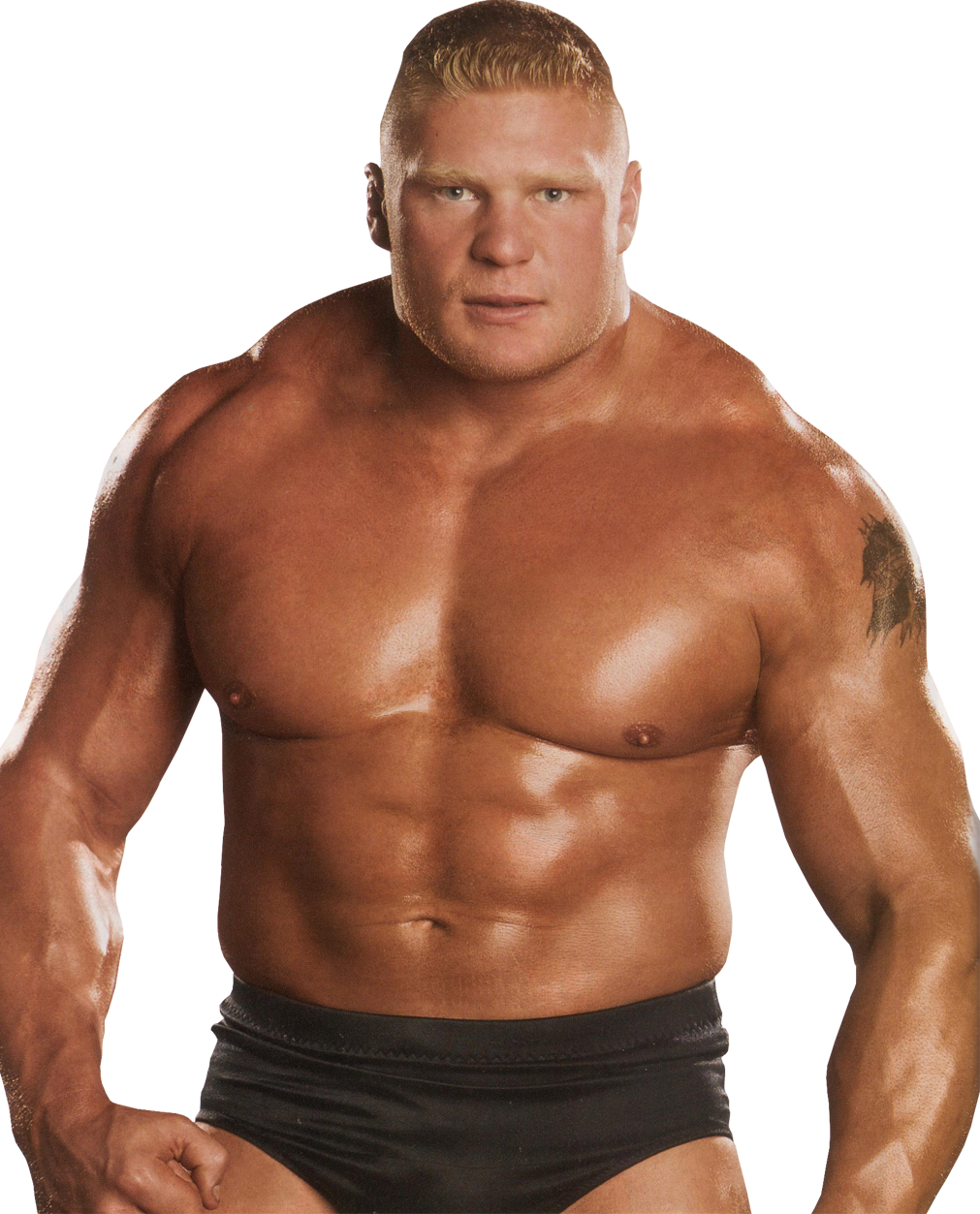 Brock_lesnar.png