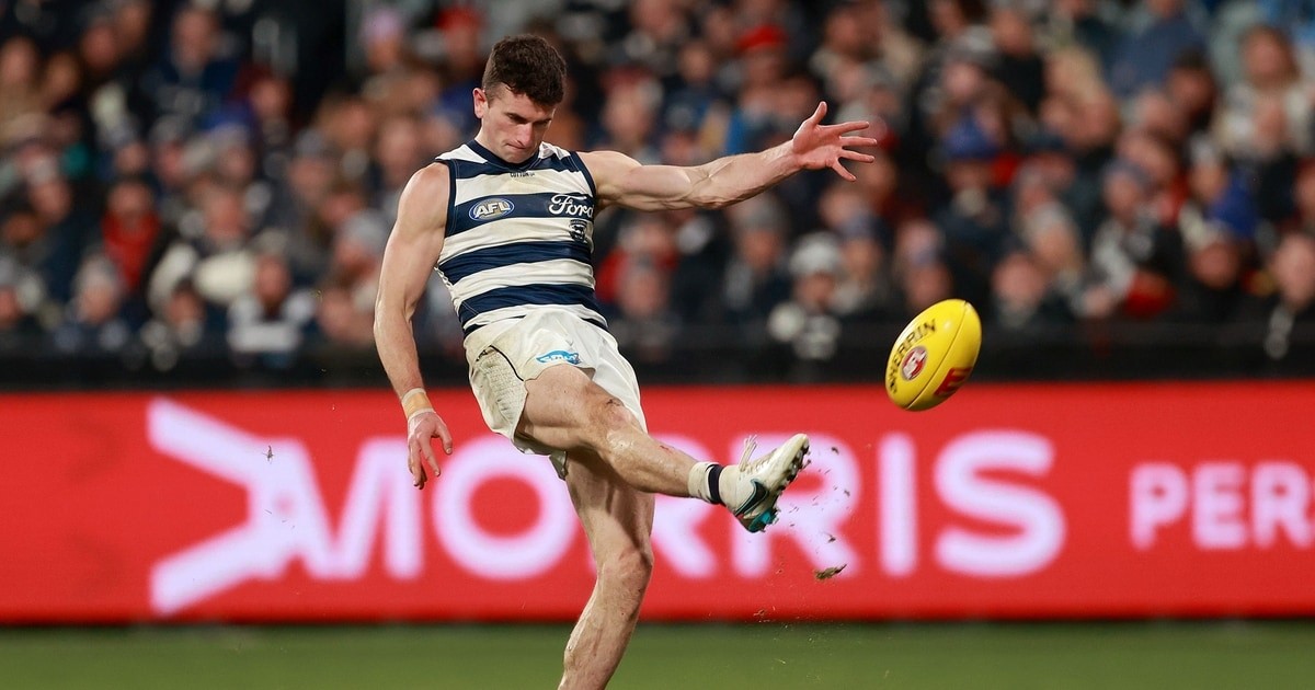 www.geelongcats.com.au