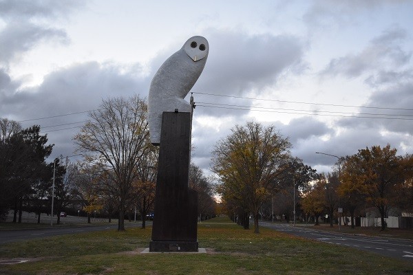 Belconnen+-+BIG+Owl.jpg