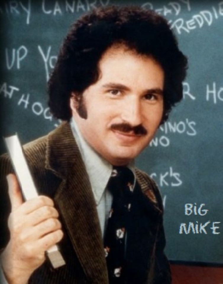 6888980-gabe-kotter.jpg