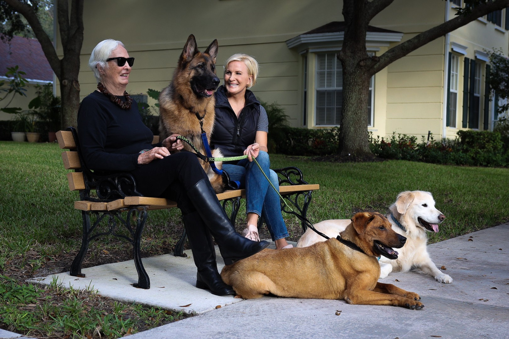 dogs_bench_side_pose_3.jpg