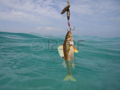 4680373-fish-on-the-hook.jpg