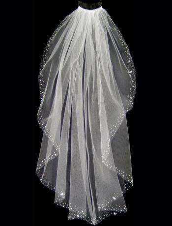 f453e23f42d3d326a04ed0d424cf9b45--wedding-veils-wedding-bride.jpg