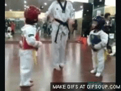 taekwondo-epic-battle-o.gif