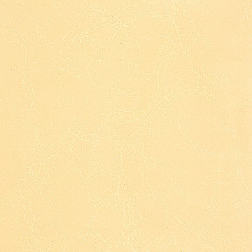 Golden_Beige_Polished_Tile.jpg