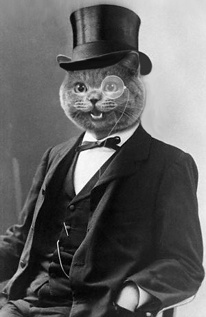 1193000424-happycatmonocle.jpg