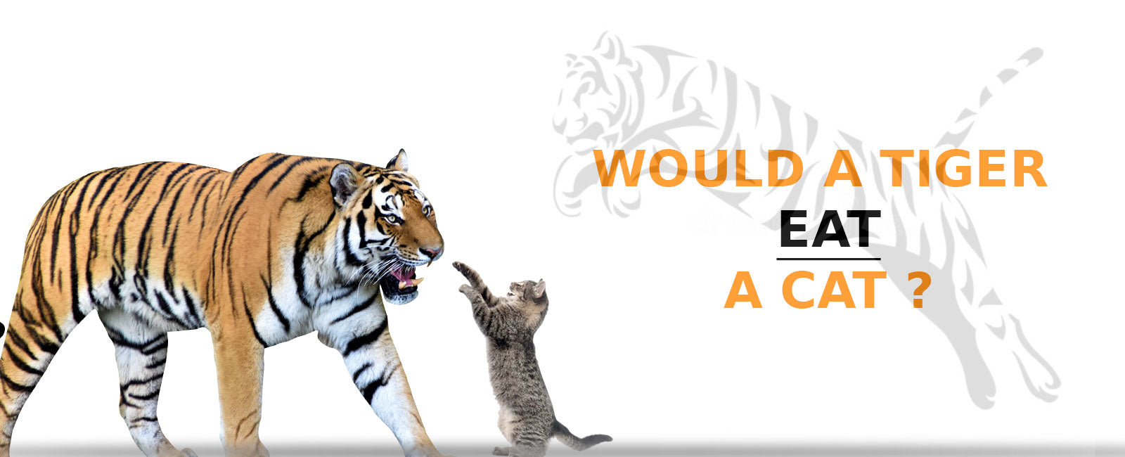 would-a-tiger-eat-a-cat_1600x.jpg