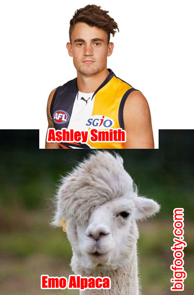 ashley-smith-emo-alpaca-lookalike.jpg