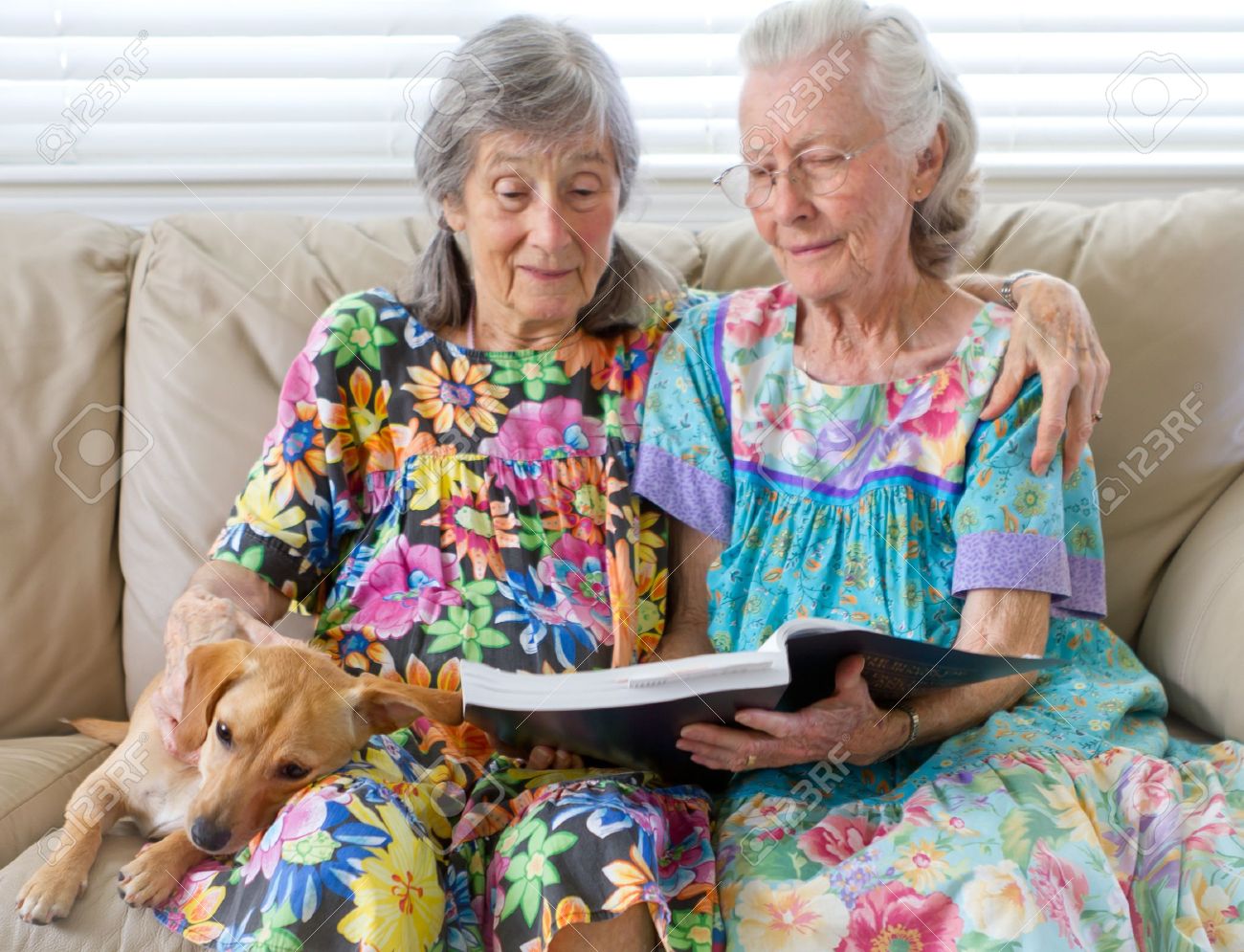 12148767-two-elderly-ladies-reading-a-book.jpg