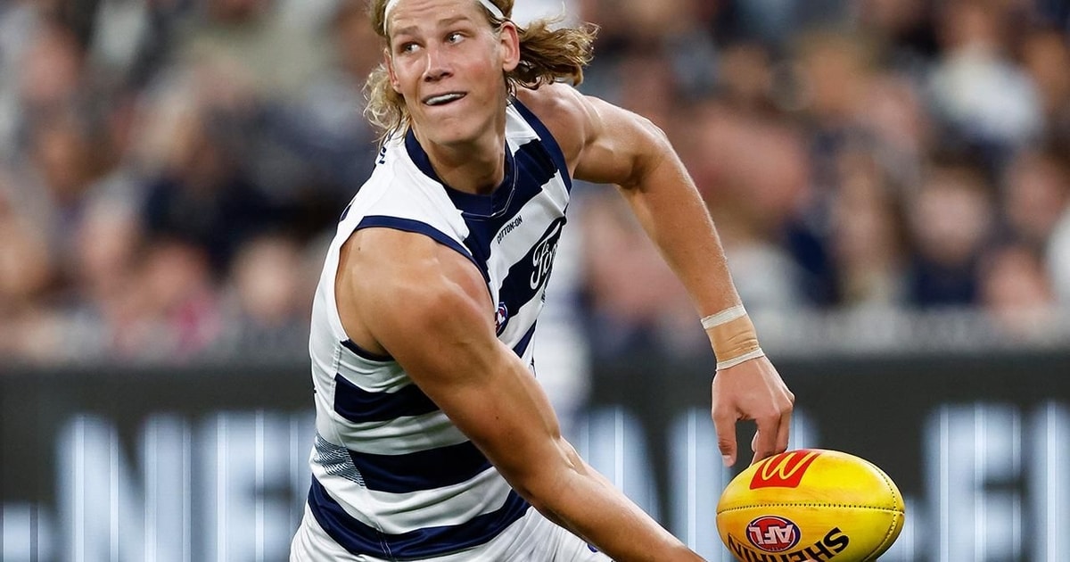 www.geelongcats.com.au