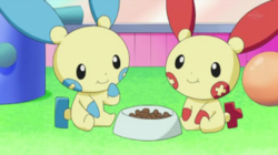 250px-Plusle_Minun_anime.png