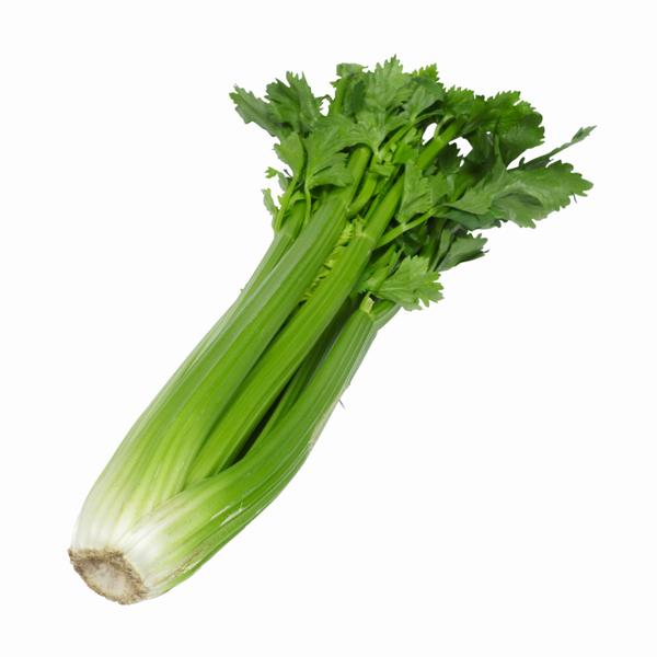 Celery.jpg