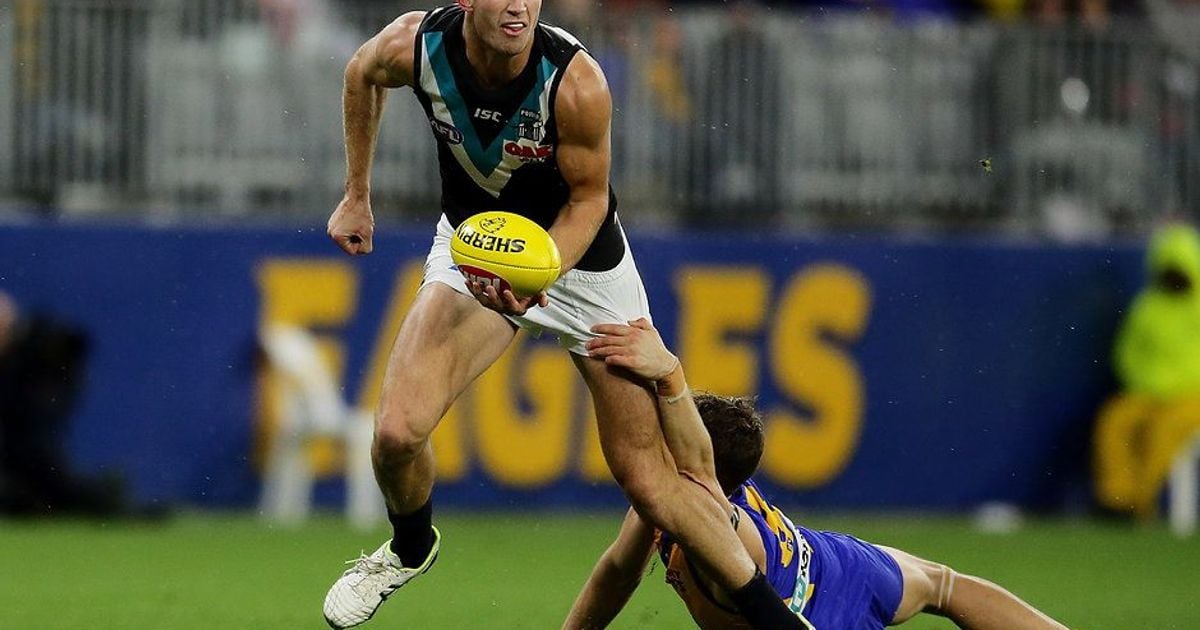 www.portadelaidefc.com.au