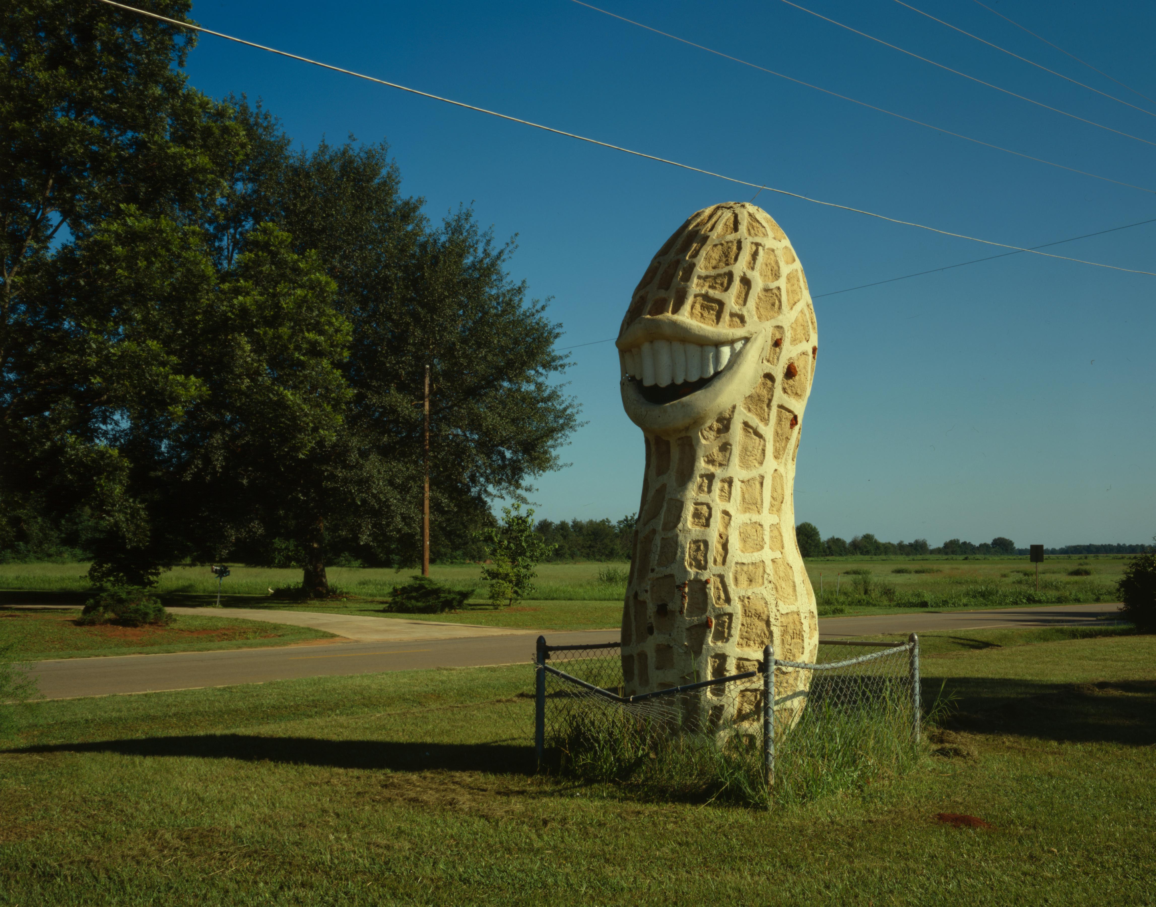 Giant_peanut_in_Plains,_Georgia.jpg