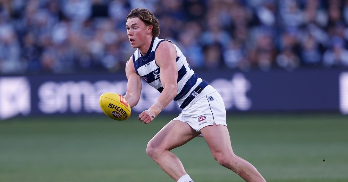 www.geelongcats.com.au