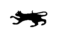 cat-png.27895