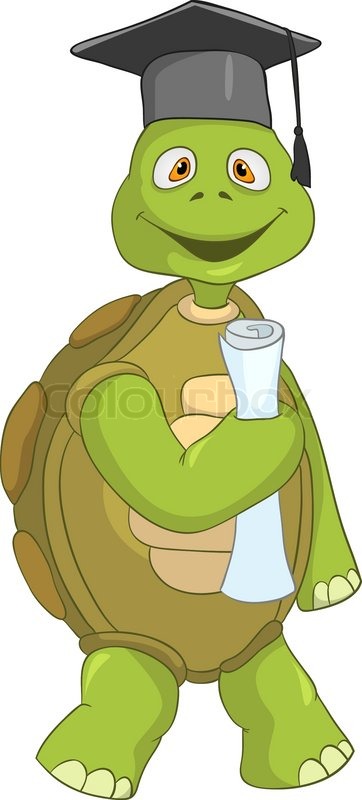 4336517-funny-turtle-student.jpg